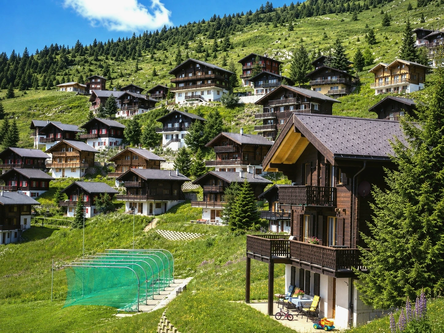 Casa Codasi und die Riederalp im Sommer